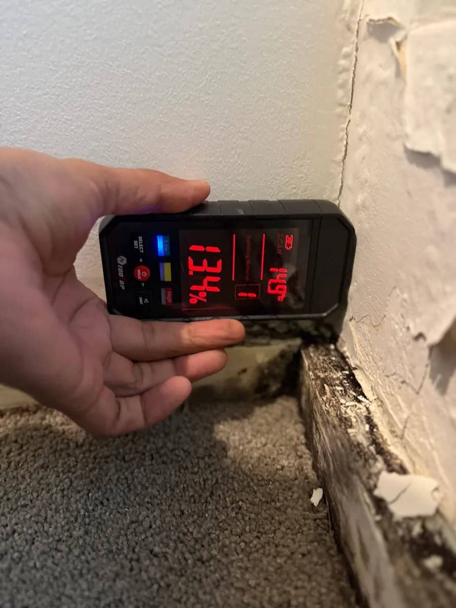 Handheld moisture meter being pressed against a wall showing a high reading near a damp patch