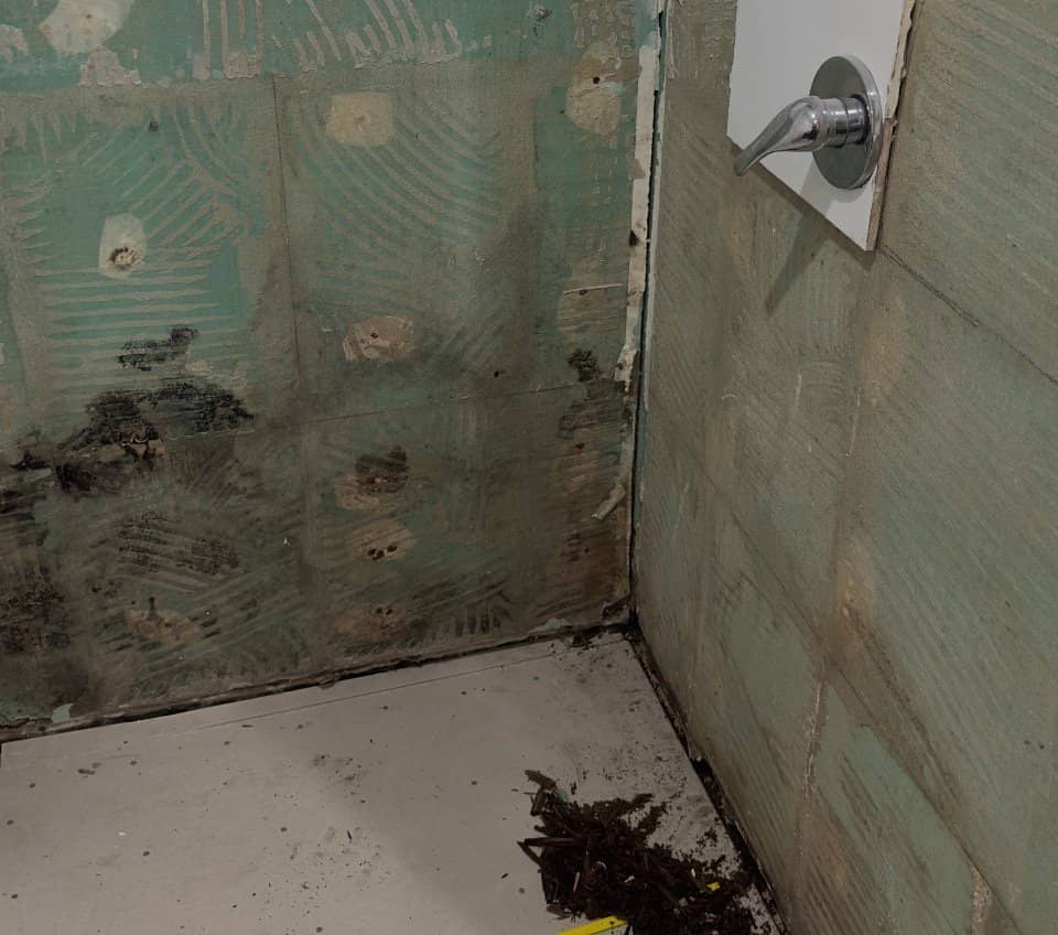 Shower stripped back to expose the failed waterproofing membrane beneath the tiles, the source of a leak into the unit below