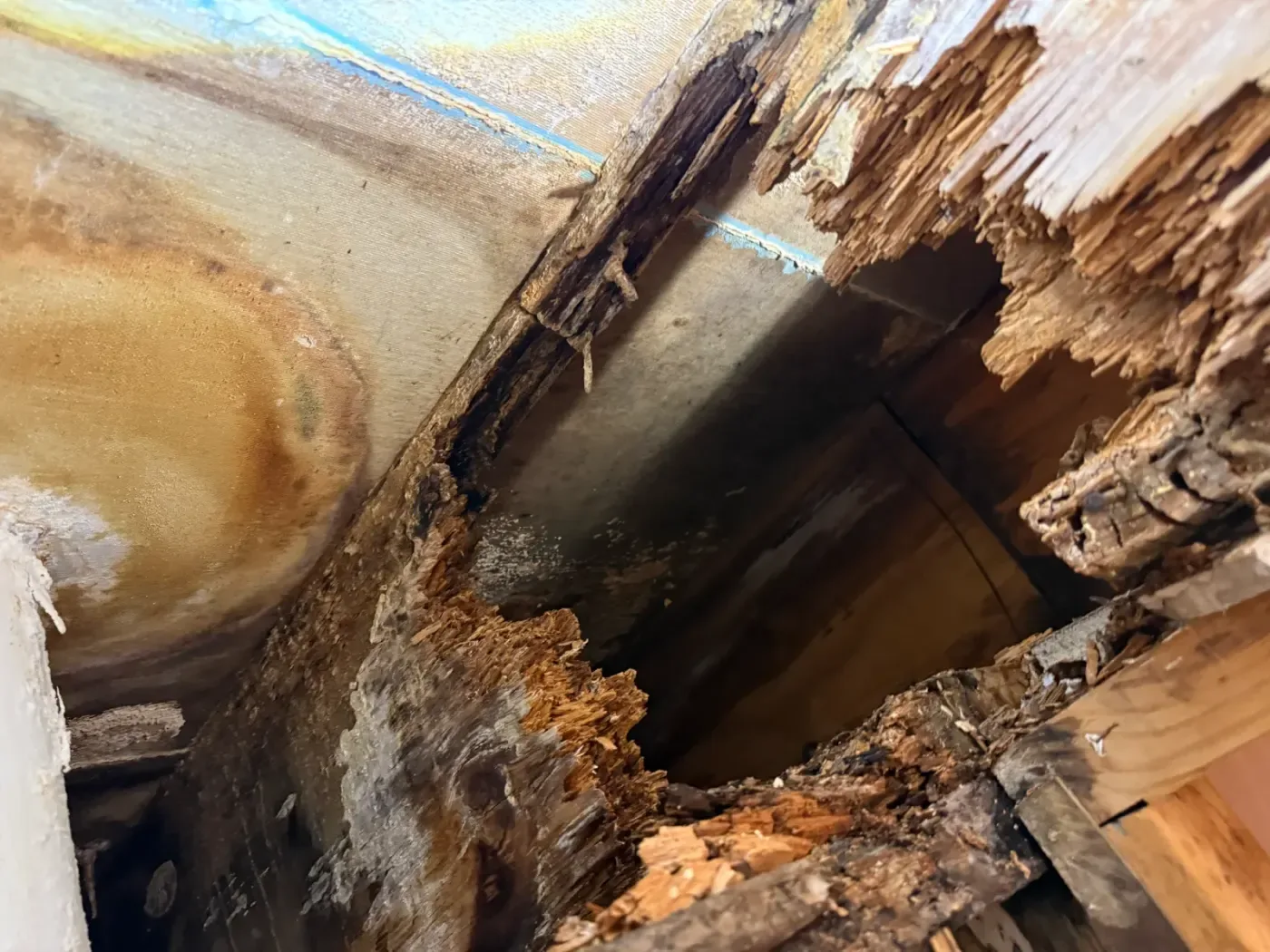 The rotted beam exposed, with water damage through the timber
