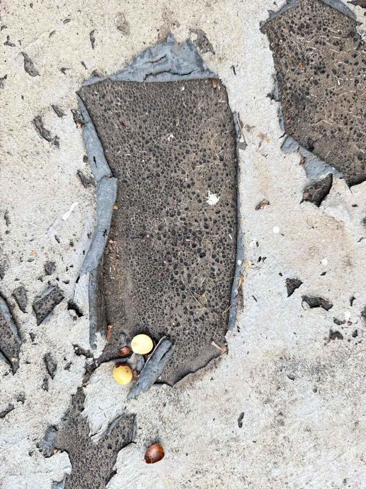 Membrane breaking up where it had been left sitting under standing water