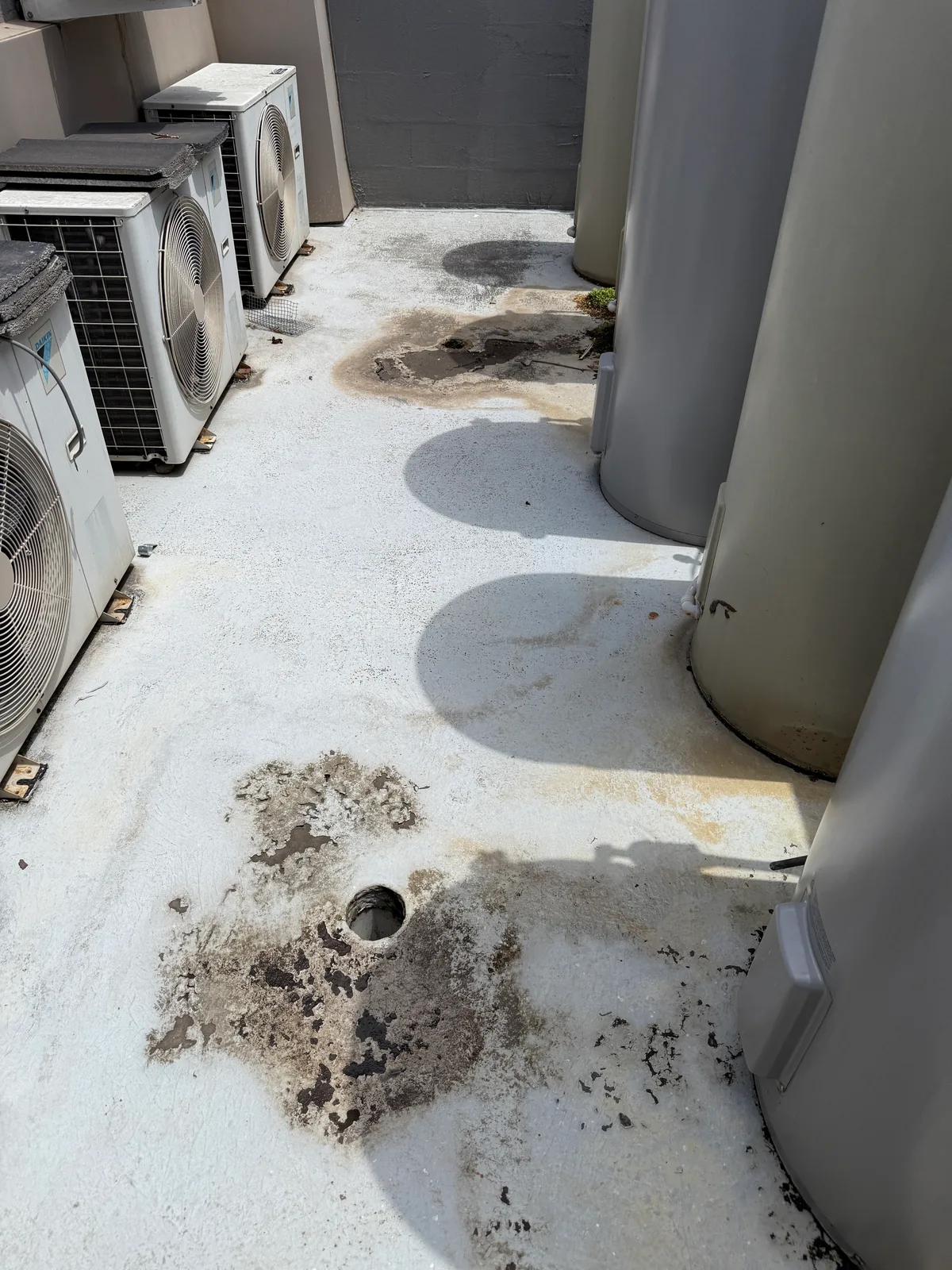 Ponding and debris beside the roof drainage outlet