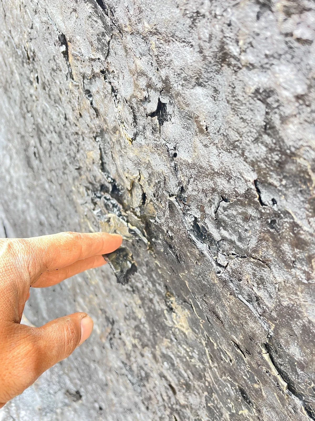 Cut edge showing the separate membrane layers stacked on one another